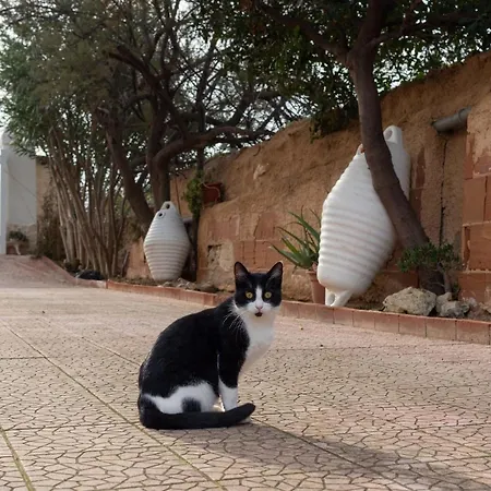 Apartmán La Porta Sul Mare- Timone *